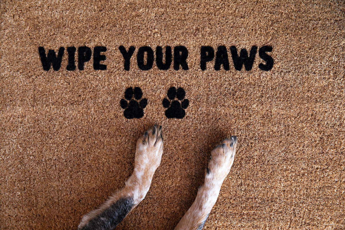 Wipe Your Paws Doormat Embossed