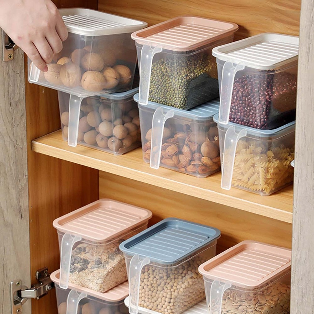 Transparent Storage Container with Handle