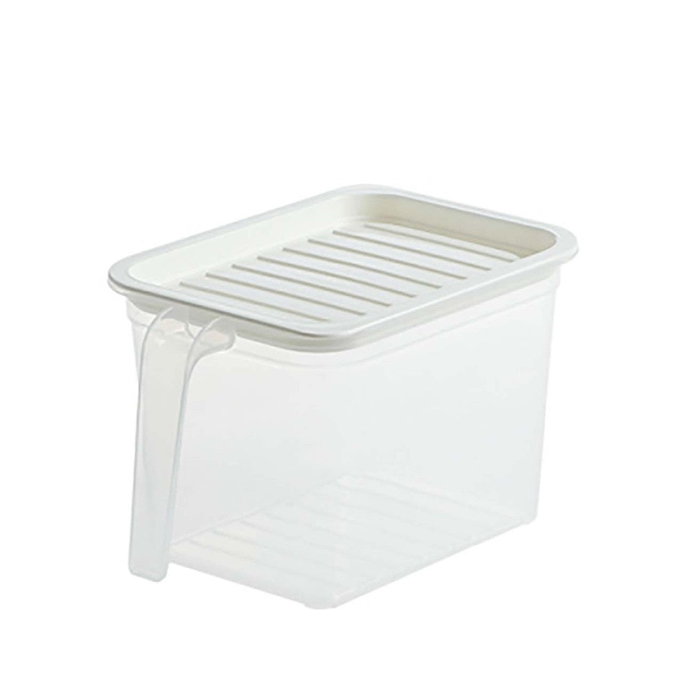 Transparent Storage Container with Handle