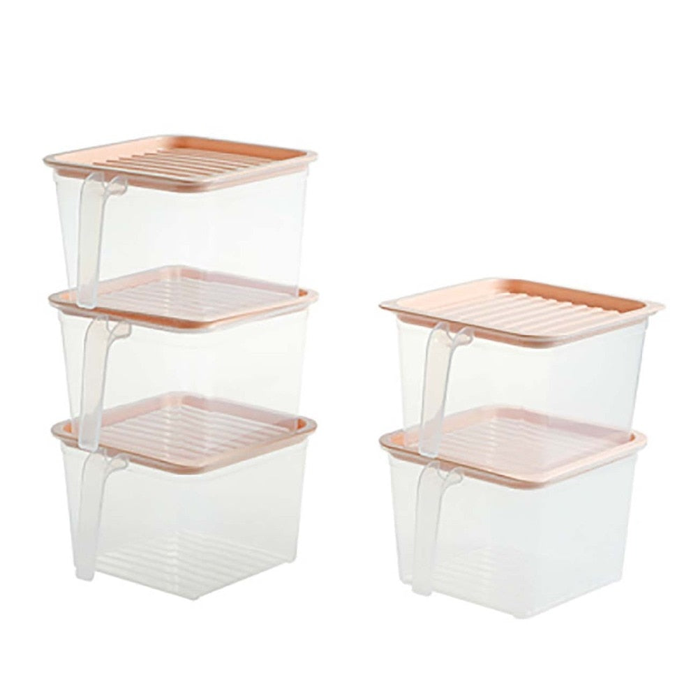 Transparent Storage Container with Handle