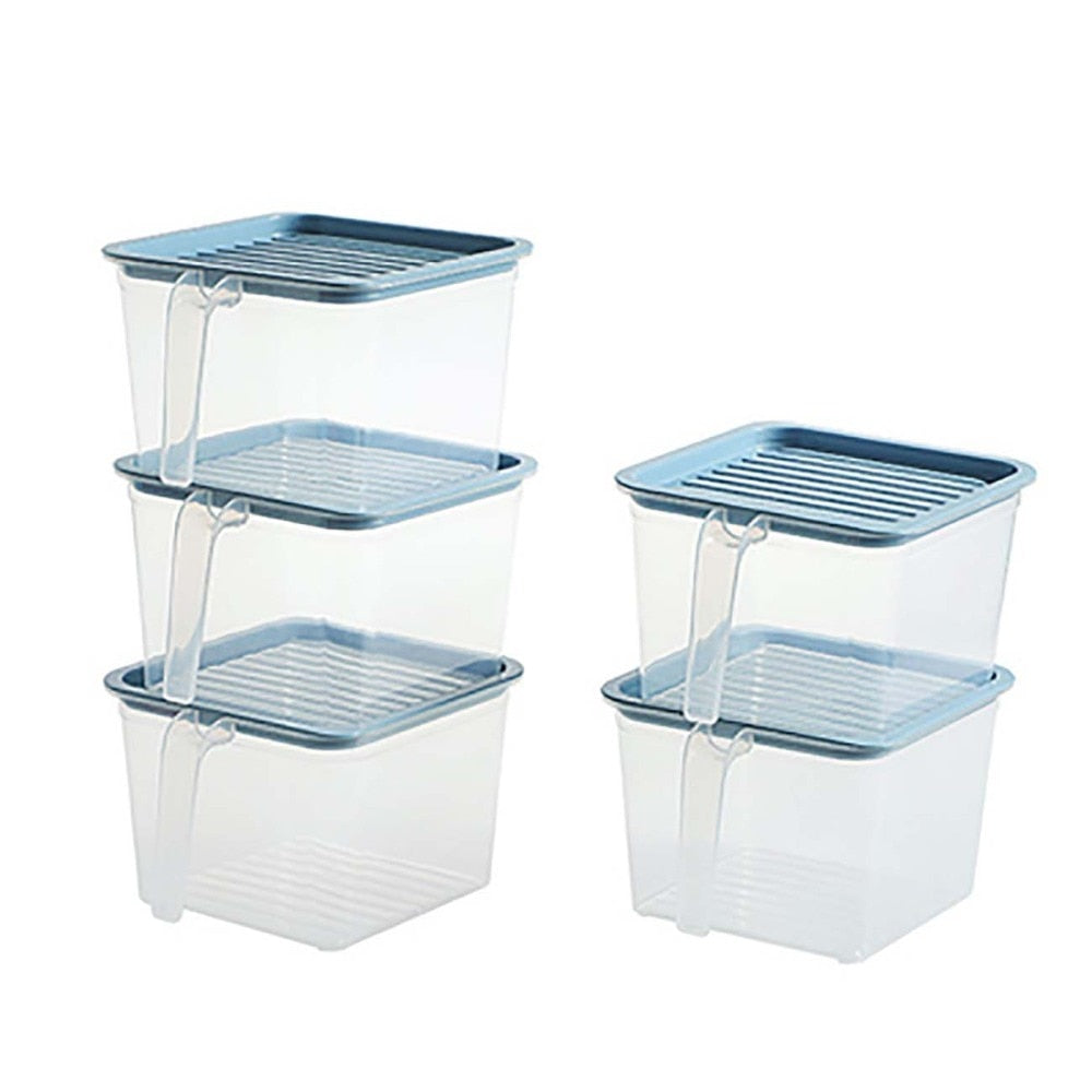 Transparent Storage Container with Handle