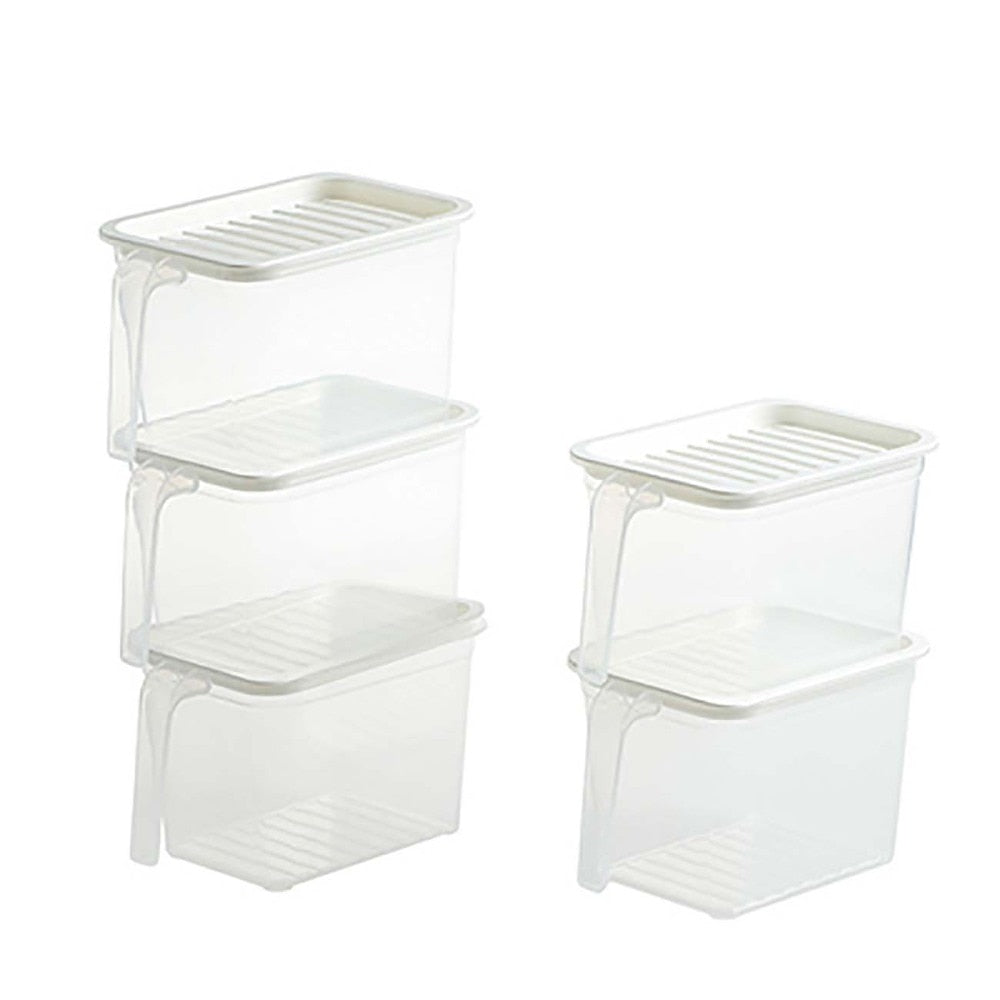 Transparent Storage Container with Handle