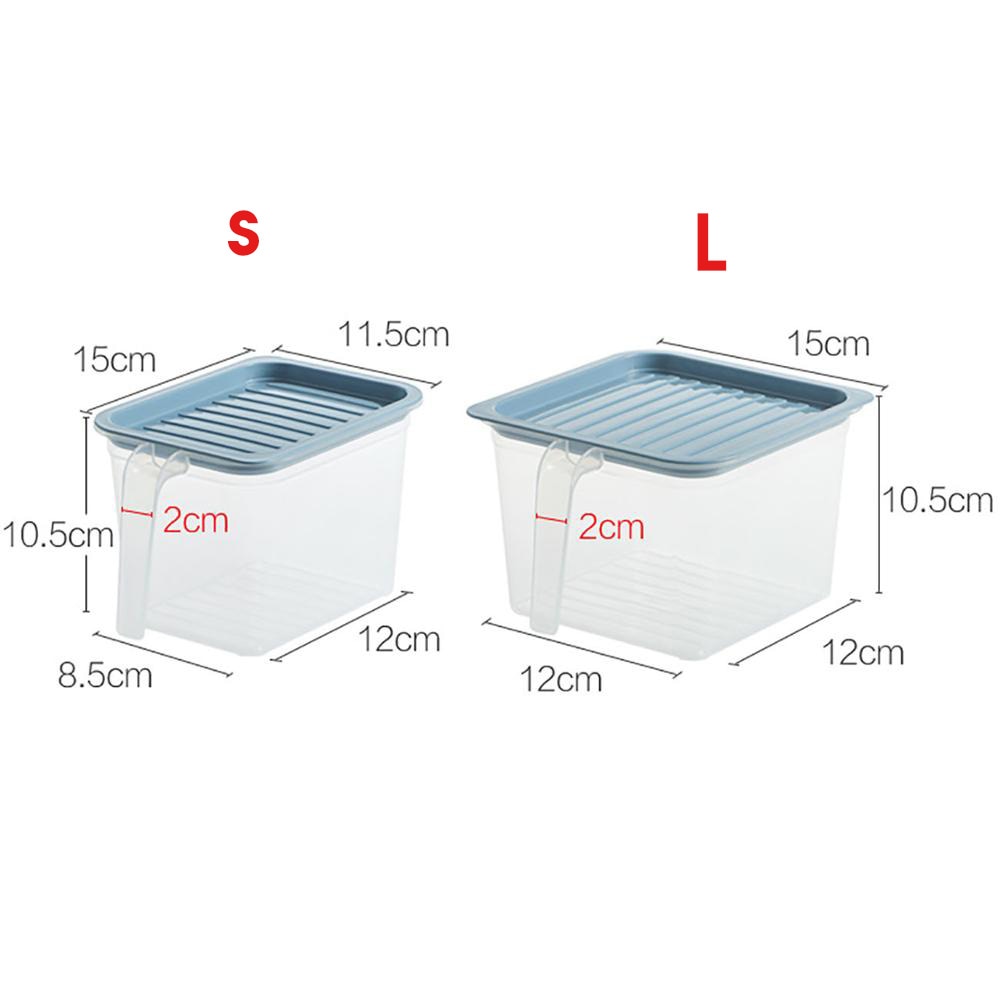 Transparent Storage Container with Handle